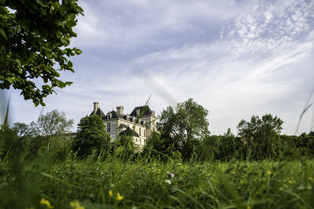 Hotel Restaurant Du Chateau De La Tour Beguey Exteriör bild